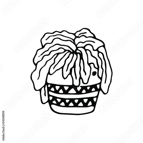 Cute hand drawn home plant on white background. Doodle vector illustration for design, greeting card, print, wedding. 