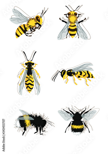 wasp bees bumblebee flat illustration set