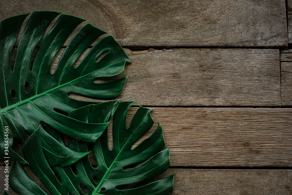 Fototapeta Tropikalne ciemnozielone liście  na rustykalnym tle drewna 