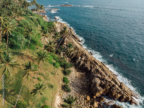 Aerial view of a long tropical beach with coconut palms in Sri Lanka. Sand wild shore in a tropics. Beautiful panorama of the ocean beach in sunlight. Idyllic deserted beach to relax