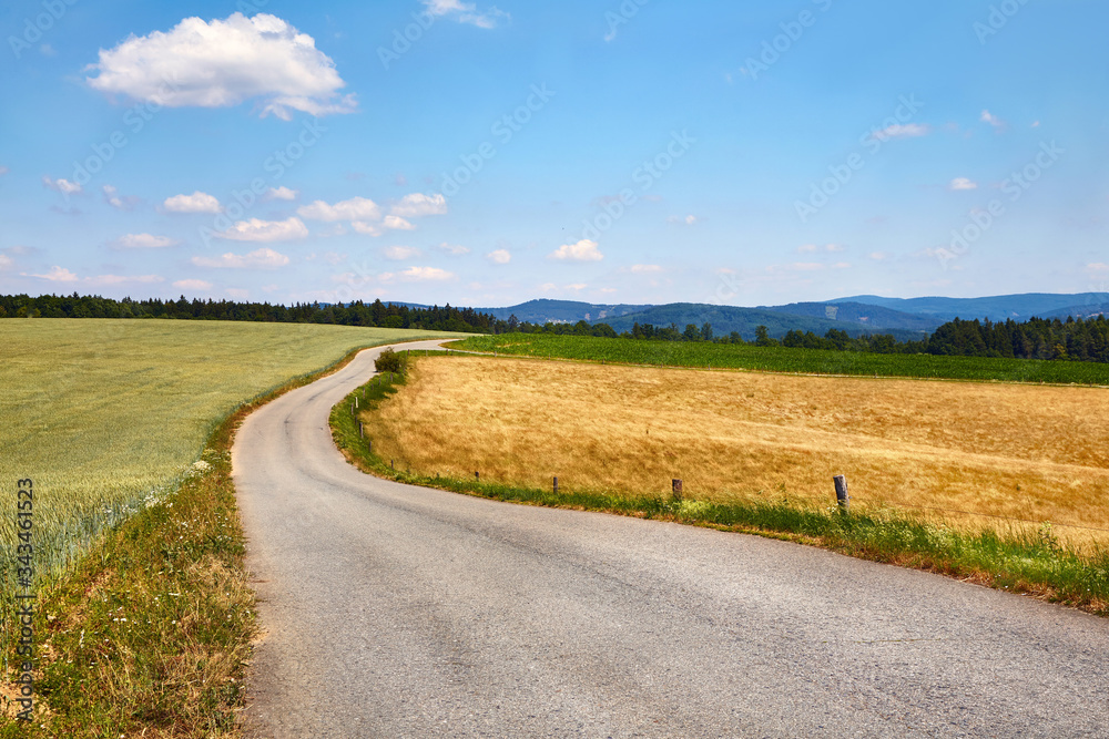 Narrow countryside road through agricultural fields