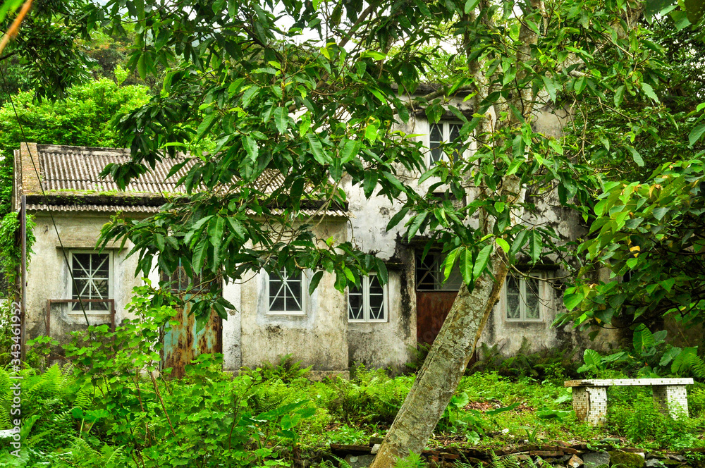 Old abandoned house in forest
