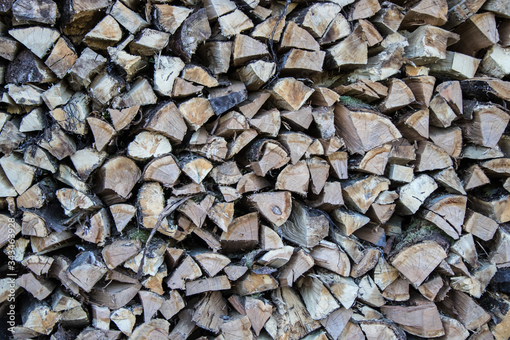 Holzvorrat für den Winter im Wald Holzvorrat für den Winter im Wald