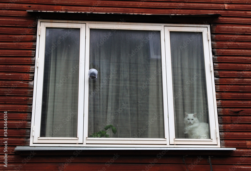 Life outside the window Life outside the window