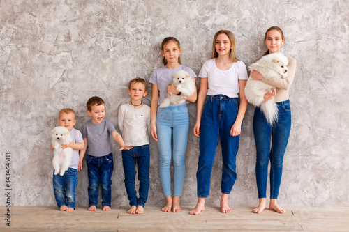 Happy children of different age with puppies standing in line