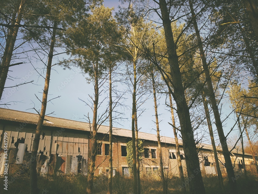 An old derelict industrial building is seen surrounded by pine trees in a forest. Nature reclaims area around an abandoned chemical factory, weathered brick and asbestos facade. Forgotten architecture