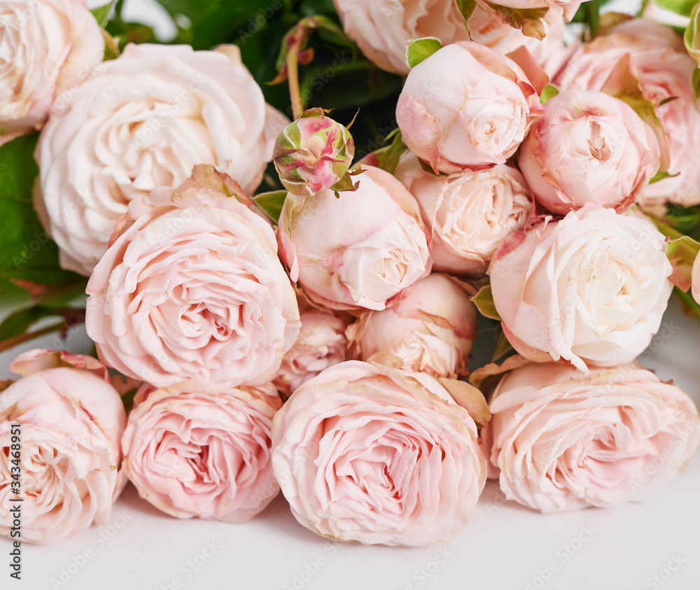 Mother's Day greeting card. Pink roses on white background. Mother's Day greeting card. Pink roses on white background.