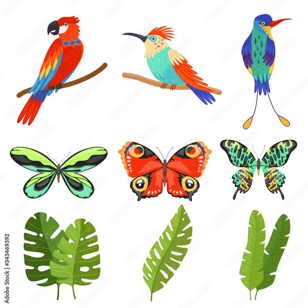 Obraz premium Tropical Collection, Exotic Butterflies, Birds with Bright Colorful Plumage, Green Leaves of Palm Trees Vector Illustration