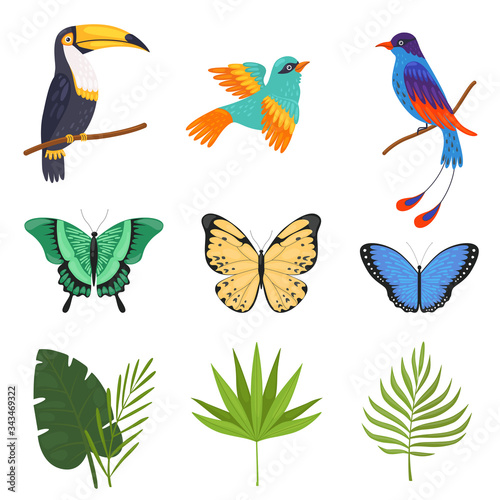Tropical Collection, Beautiful Butterflies, Birds with Bright Colorful Plumage, Leaves of Palm Trees Vector Illustration
