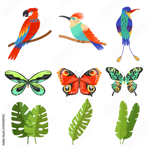 Tropical Collection, Exotic Butterflies, Birds with Bright Colorful Plumage, Green Leaves of Palm Trees Vector Illustration