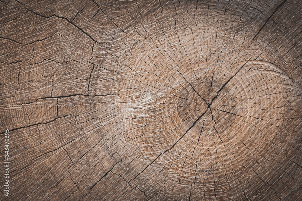 Naklejka premium tło drewnianego pnia
