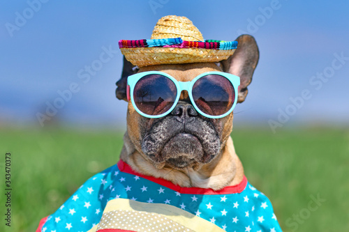Cool French Bulldog dog dressed up with sunglasses, a colorful straw hat and poncho gown in front of blurry meadow in summer