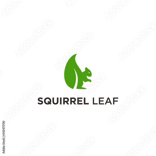 squirrel leaf logo icon vector designs