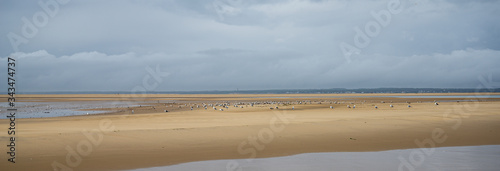 Banc de sable Phare du Cordouan Charente Maritime France photo