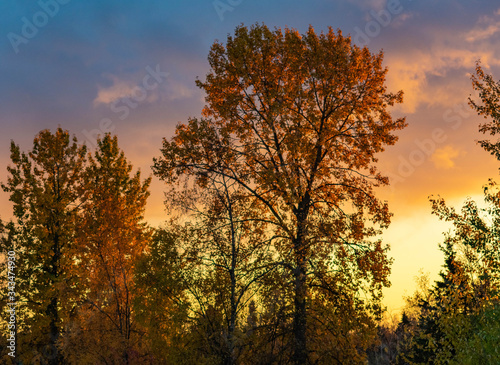 Sunrises and Sunsets Across the Country