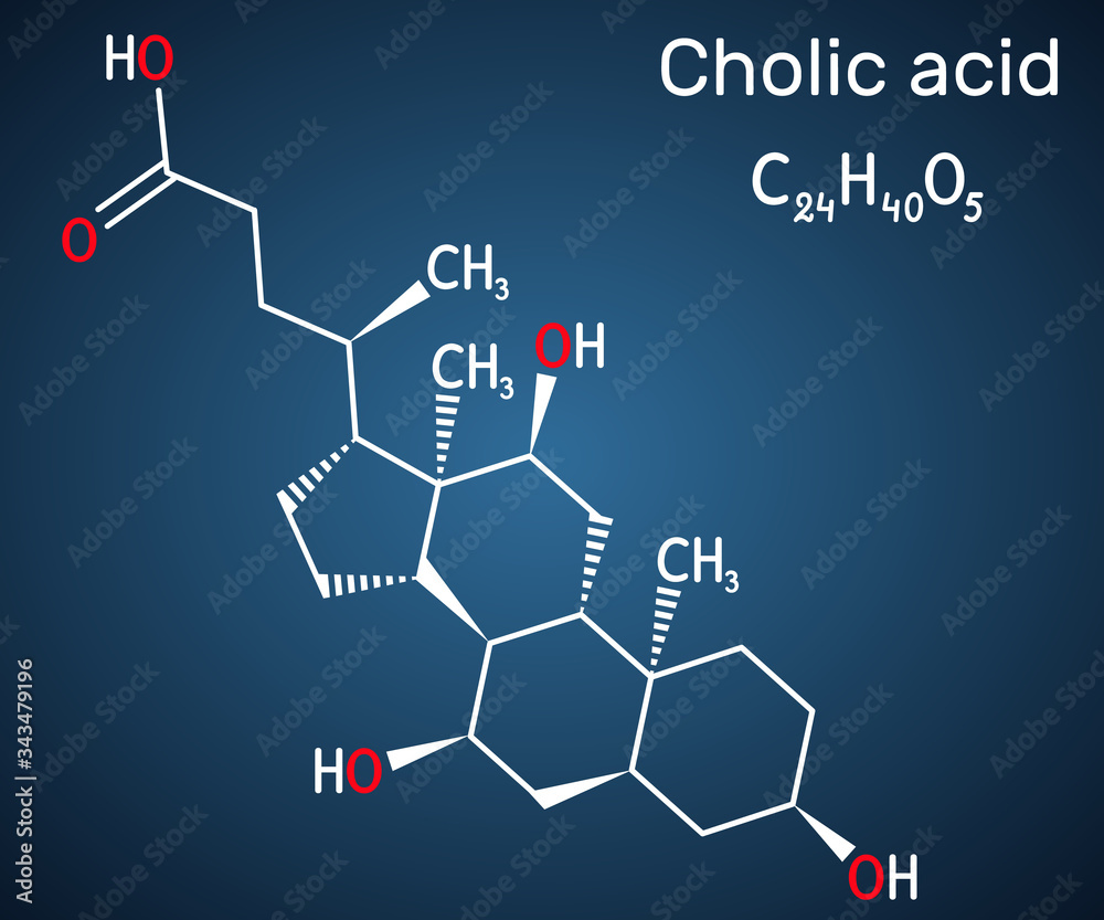 Cholic acid, C24H40O5 molecule. It is major primary bile acid produced in the liver. Nutritional supplement E 1000. Structural chemical formula on the dark blue background Cholic acid, C24H40O5 molecule. It is major primary bile acid produced in the liver. Nutritional supplement E 1000. Structural chemical formula on the dark blue background