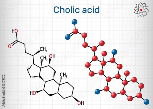 Cholic acid, C24H40O5 molecule. It is major primary bile acid produced in liver. Nutritional supplement E1000.  Structural chemical formula, molecule model. Sheet of paper in cage. Vector illustration