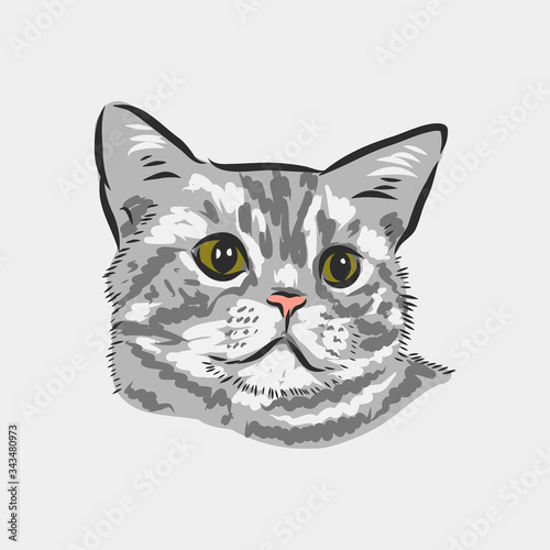 domestic cat, realistic vector sketch illustration, the sign of the cat