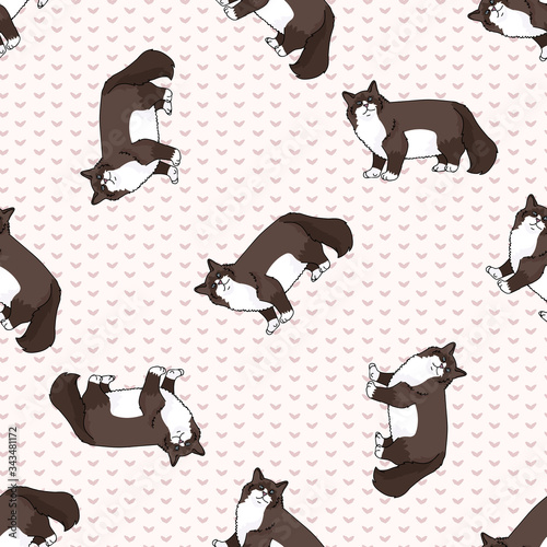 Cute cartoon snowshoe cat seamless vector pattern. Pedigree kitty breed domestic kitty background. Cat lover fluffy longhair all over print. Feline EPS 10. 