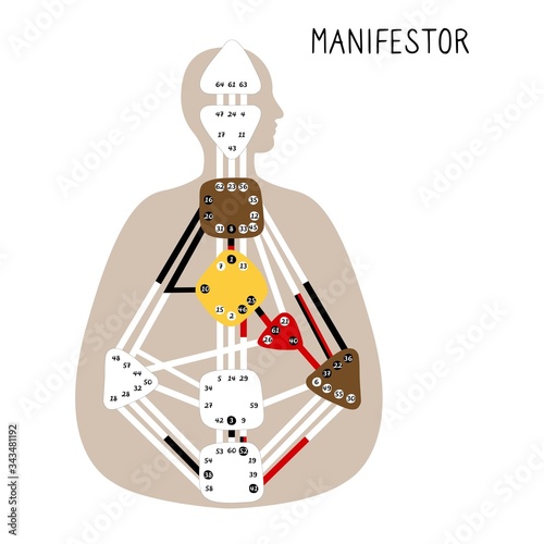 Manifestor. Human Design BodyGraph. Nine colored energy centers