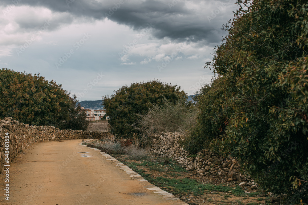 walkway near green trees against sky with clouds