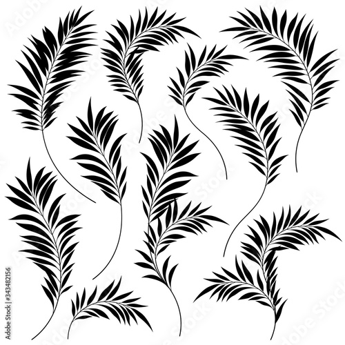 Beautiful tropical plant background illustration material,