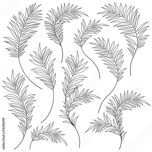 Beautiful tropical plant background illustration material,