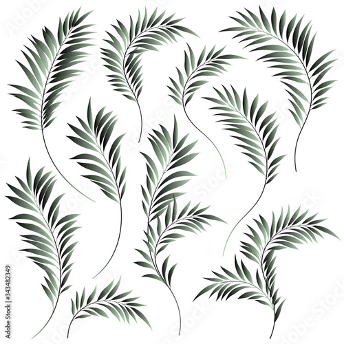 Beautiful tropical plant background illustration material 