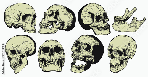 Skull vintage engraving style isolated vector hand drawn illustration for graphic design and creative projects. stamp logo emblem, retro branding and tattoo design