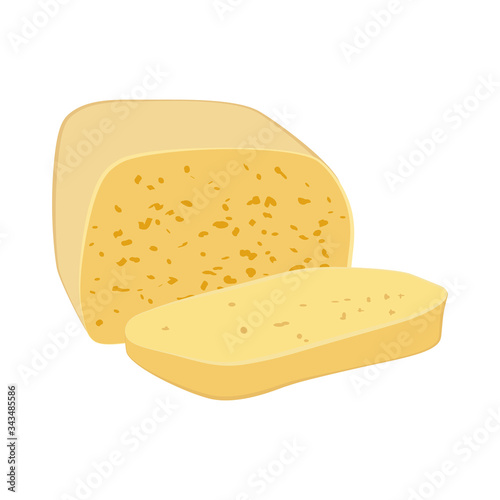 Cheese fresh organic dairy product vector illustration
