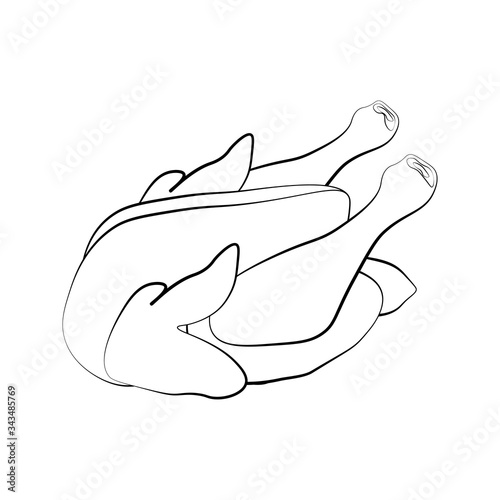 Chicken bird meat, organic poultry illustration outline