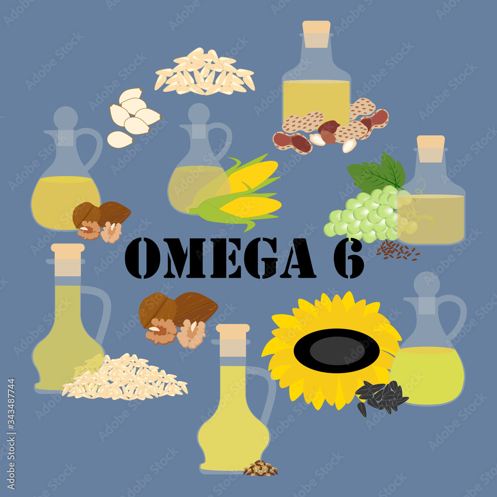 Omega 6 healthy nutrient rich food vector illustration Stock Vector