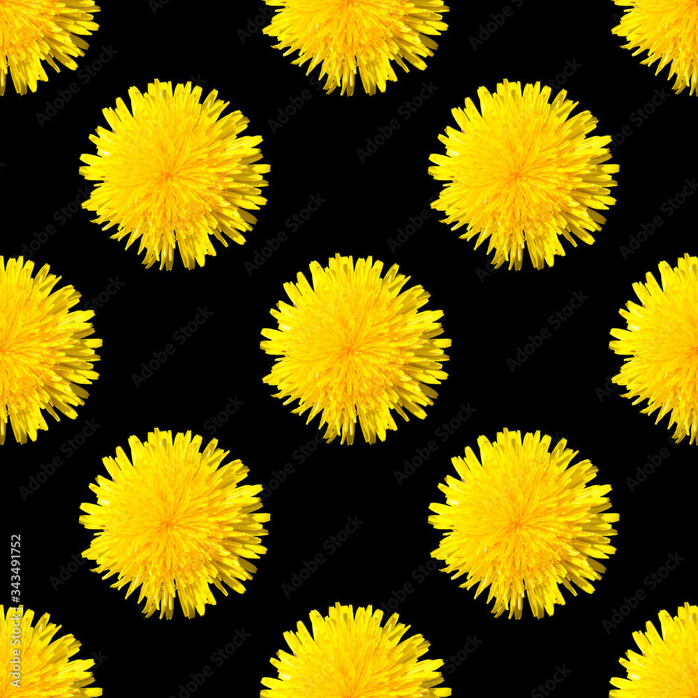 Dandelion on a black background. Repeating pattern with flowers. Beautiful yellow flower. Seamless pattern Dandelion on a black background. Repeating pattern with flowers. Beautiful yellow flower. Seamless pattern