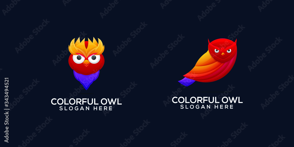 Fototapeta premium colection colorful owl logo design