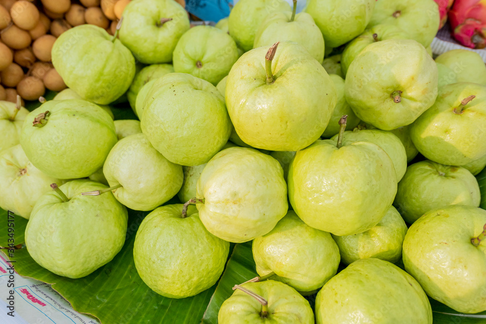 The pile of natural organic guava under the evening sunlight woth others background The pile of natural organic guava under the evening sunlight woth others background