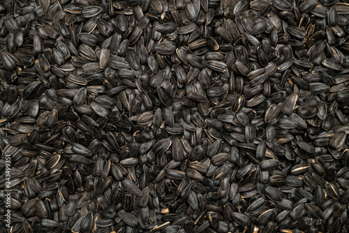 A pile of sunflower seeds