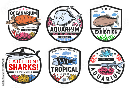 Oceanarium, undersea world aquarium and tropical fish exhibition, vector icons. Wild underwater sea and ocean monsters, animals and exotic tropical fishes exhibition, sharks no swimming warning sign