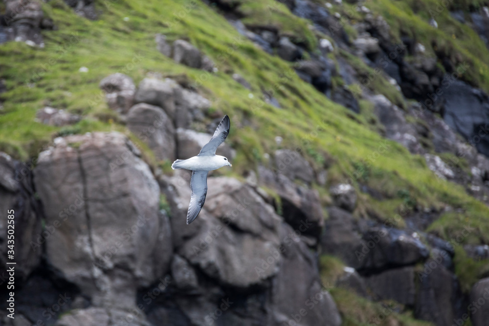 Faszination Färöer - Inseln im Nordatlantik