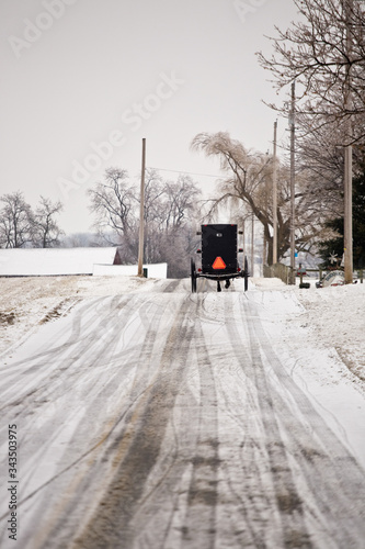 Amish Buggy