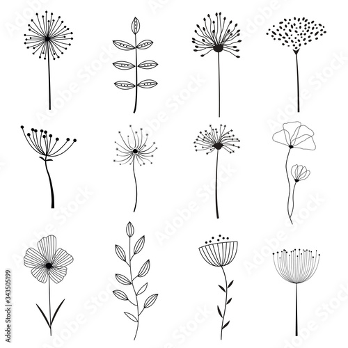 Set of flower and floral elements for your design. Vector illustration