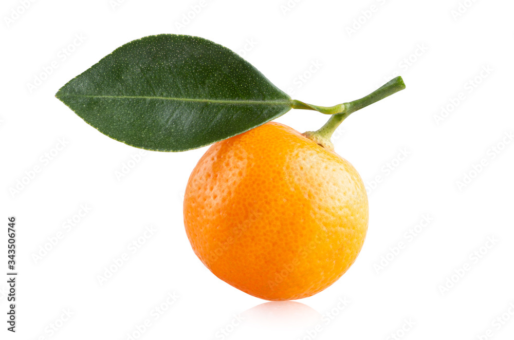 Fresh mandarin orange Fresh mandarin orange