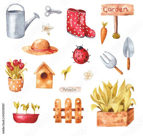 Watercolor illustration of garden details and elements