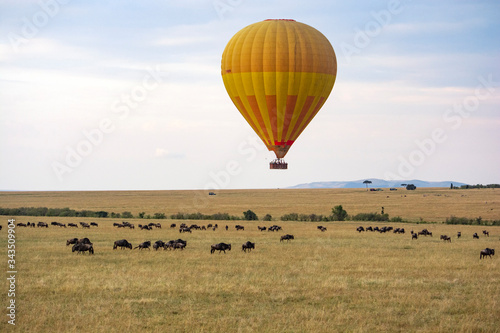 GLOBO AEROSTÁTICO SOBRE MANADA DE ÑÚS EN MASAI MARA - KENIA - ÁFRICA