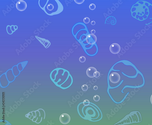 marine unicellular organisms and air bubbles, foraminifera photo