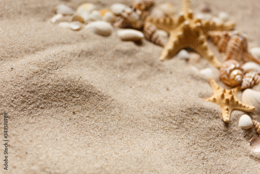 Summer beach. Sea sand with starfish and shells. With copy space. Summer background. Summer beach. Sea sand with starfish and shells. With copy space. Summer background.