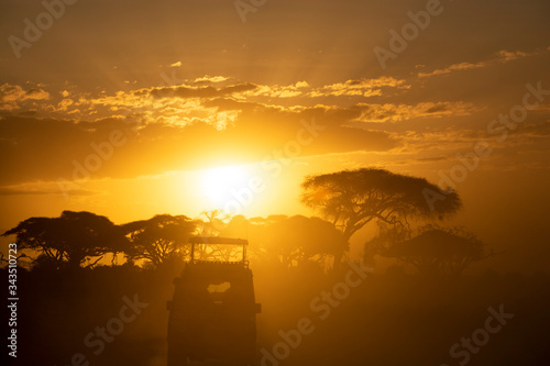 ATARDECIENDO EN MEDIO DE UN SAFARI EN AFRICA