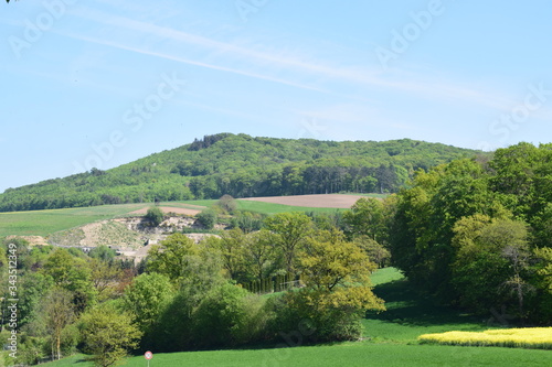 Eifel mit Wald und STeinbruch photo