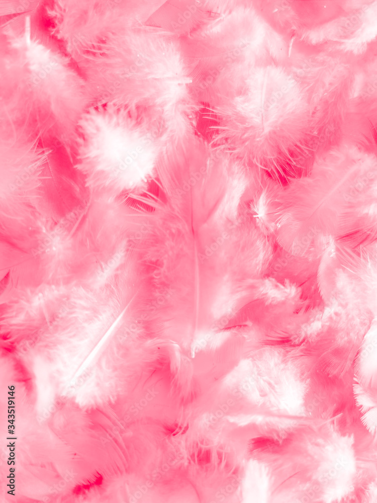Beautiful abstract white and pink feathers on white background and soft white feather texture on pink  pattern and pink background, feather background, pink banners
