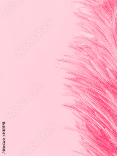 Beautiful abstract white and pink feathers on white background and soft white feather texture on pink  pattern and pink background, feather background, pink banners © Weerayuth