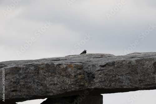 Die Westküste von Irland photo